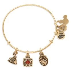 Disney Moana Symbols Bangle By Alex And Ani