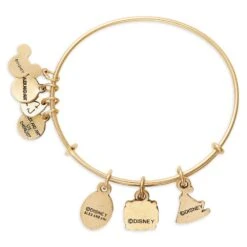 Disney Moana Symbols Bangle By Alex And Ani -Disney Shop 2017106755993 3